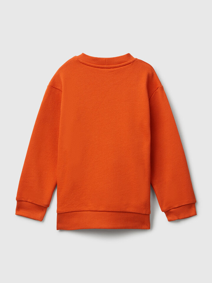 SWEATER L/S Junior Boy image number 2